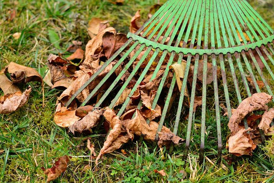 raking-leaves.jpg